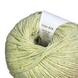 Пряжа Avanti Yarn ROYAL TWEED №614 світло-зелений, пряжа твідова з кашемиром, нитки для в'язання гачком и спицями 614 фото 2